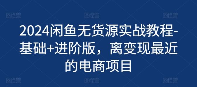 2024闲鱼无货源实战教程-基础+进阶版，离变现最近的电商项目-小鹏项目网