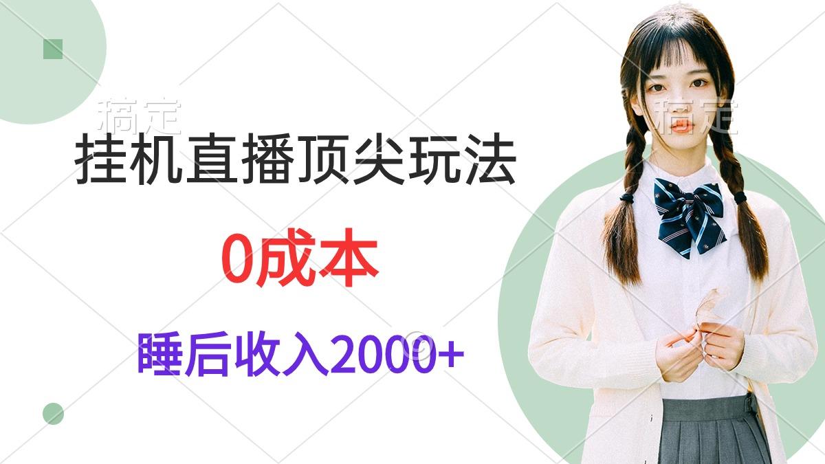 (9715期)挂机直播顶尖玩法，睡后日收入2000+、0成本，视频教学-小鹏项目网