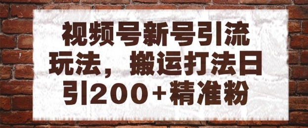 视频号新号引流玩法，搬运打法日引200+精准粉，可矩阵放大【揭秘】-小鹏项目网