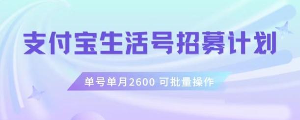 支付宝生活号作者招募计划，单号单月2600，可批量去做，工作室一人一个月轻松1w+【揭秘】-小鹏项目网