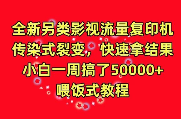 全新另类影视流量复印机，传染式裂变，快速拿结果，小白一周搞了50000+，喂饭式教程【揭秘】-小鹏项目网