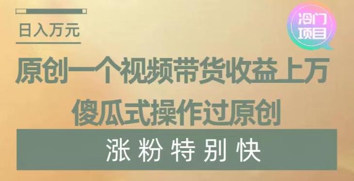 原创一个视频带货收益上万，傻瓜式操作过原创，几分钟做一个视频涨粉特别快【揭秘】-小鹏项目网