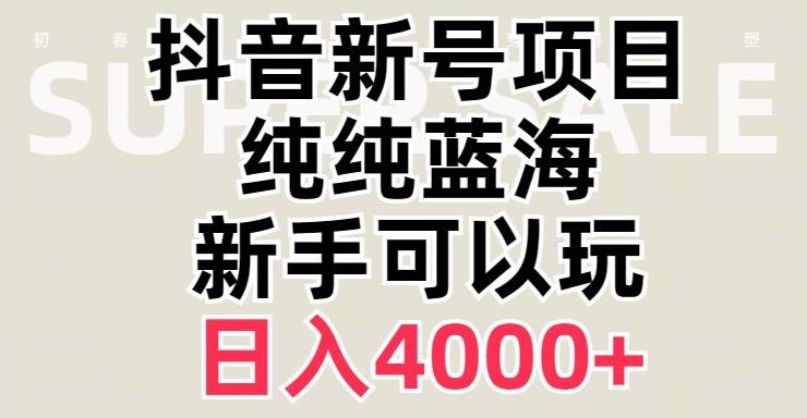 抖音蓝海赛道，必须是新账号，日入4000+【揭秘】-小鹏项目网