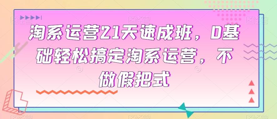 淘系运营21天速成班，0基础轻松搞定淘系运营，不做假把式-小鹏项目网