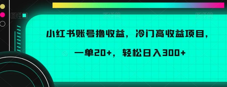 小红书账号撸收益，冷门高收益项目，一单20+，轻松日入300+【揭秘】-小鹏项目网