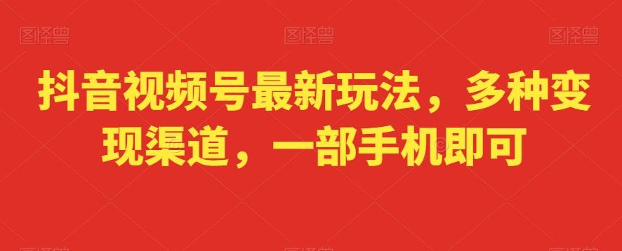 抖音视频号最新玩法，多种变现渠道，一部手机即可-小鹏项目网