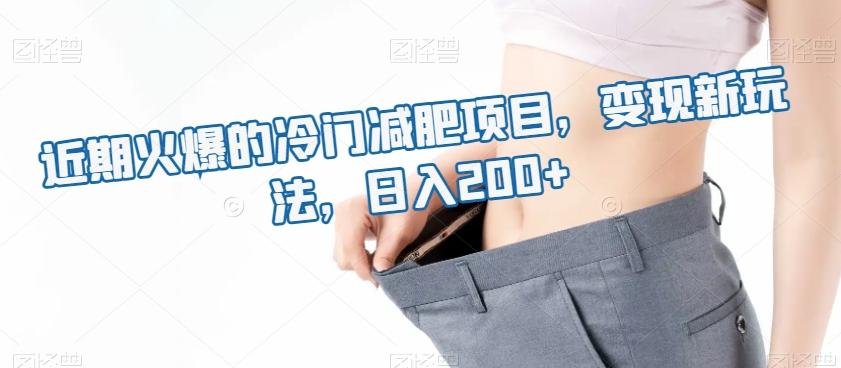 近期火爆的冷门减肥项目，变现新玩法，日入200+-小鹏项目网