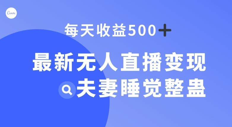 最新无人直播变现，夫妻睡觉整蛊，每天躺赚500+【揭秘】-小鹏项目网