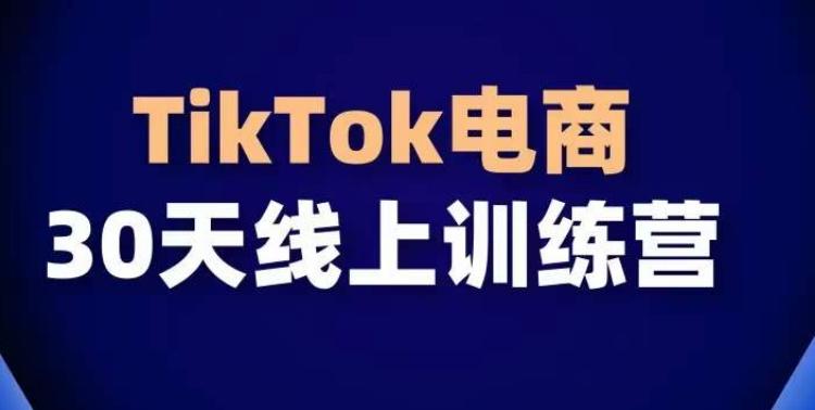 TikTok电商带货30天线上课，不可错过的全球流量洼地！-小鹏项目网