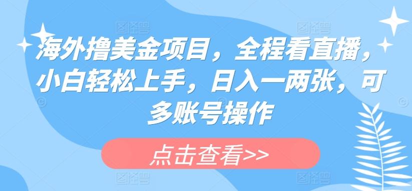 海外撸美金项目，全程看直播，小白轻松上手，日入一两张，可多账号操作【揭秘】-小鹏项目网