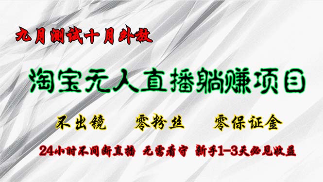 淘宝无人直播最新玩法，九月测试十月外放，不出镜零粉丝零保证金，24小…-小鹏项目网