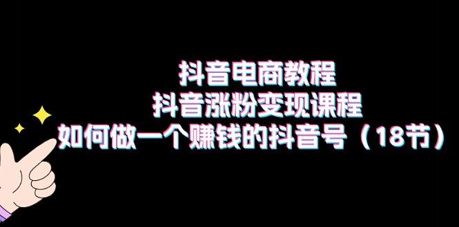 抖音电商教程：抖音涨粉变现课程：如何做一个赚钱的抖音号(18节-小鹏项目网