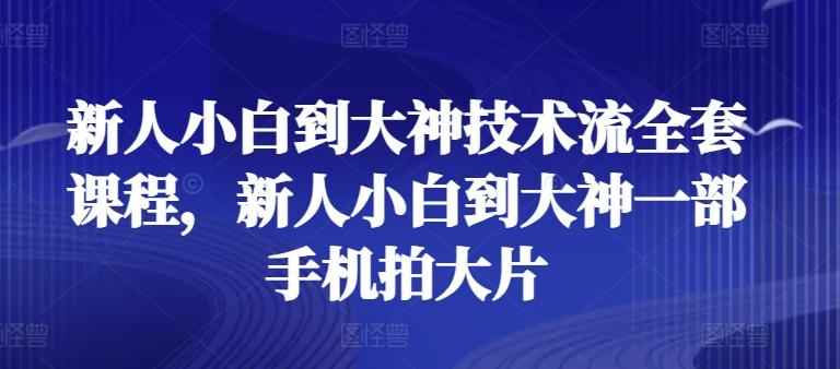 新人小白到大神技术流全套课程，新人小白到大神一部手机拍大片-小鹏项目网