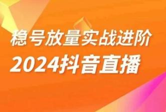 稳号放量实战进阶—2024抖音直播，直播间精细化运营的几大步骤-小鹏项目网