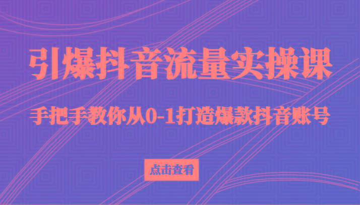 引爆抖音流量实操课，手把手教你从0-1打造爆款抖音账号(27节课)-小鹏项目网