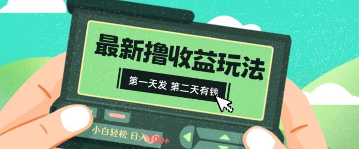 2024最新撸视频收益玩法，第一天发，第二天就有钱-小鹏项目网
