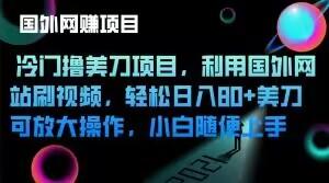 冷门撸美刀项目，利用国外网站刷视频，轻松日入80+美刀，可放大操作，小白随便上手-小鹏项目网