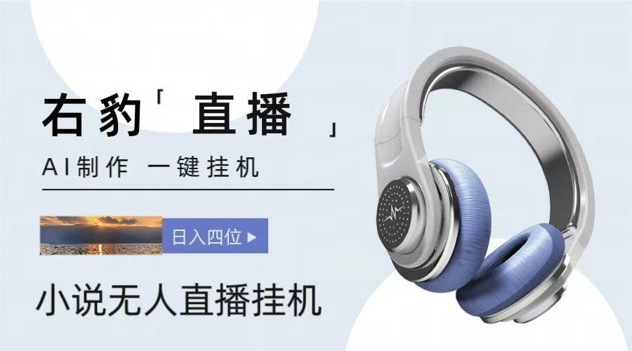 右豹小说无人直播挂机吸金项目，简单易行收益稳定， 月入1000+-小鹏项目网