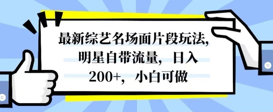 最新综艺名场面片段玩法，明星自带流量，日入200+，小白可做【揭秘】-小鹏项目网