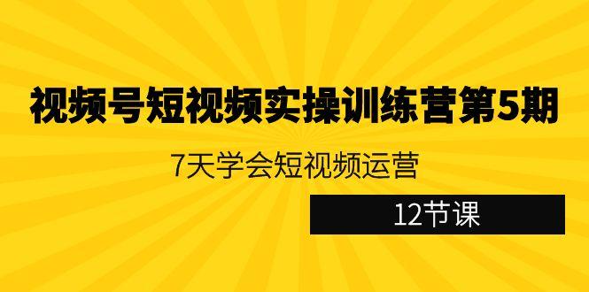 视频号短视频实操训练营第5期：7天学会短视频运营(12节课)-小鹏项目网