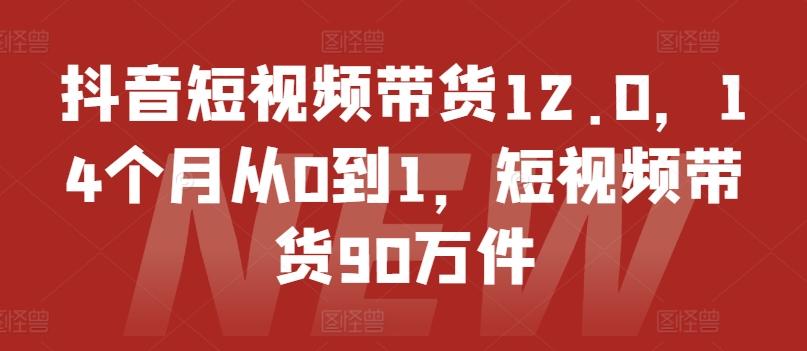 抖音短视频带货12.0，14个月从0到1，短视频带货90万件-小鹏项目网