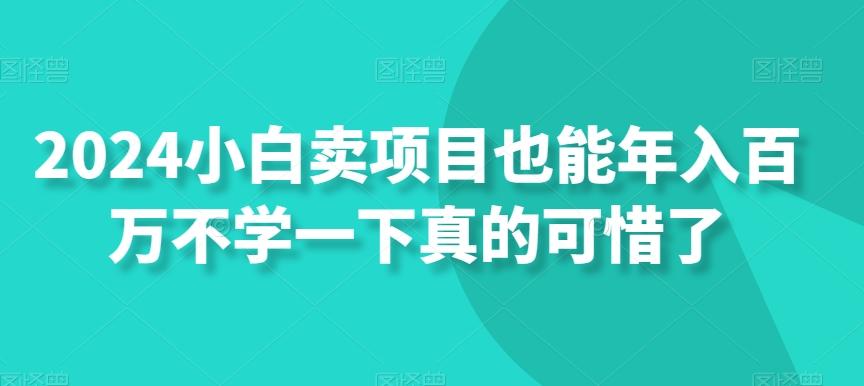 2024小白卖项目也能年入百万不学一下真的可惜了-小鹏项目网