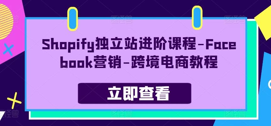Shopify独立站进阶课程-Facebook营销-跨境电商教程-小鹏项目网