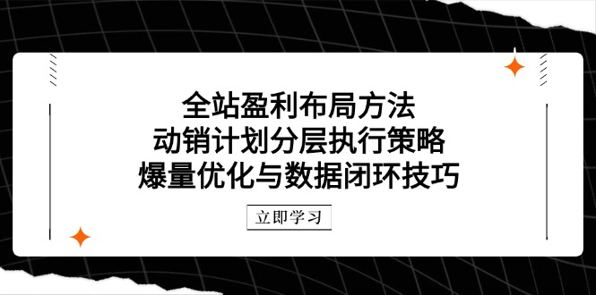 全站盈利布局方法：动销计划分层执行策略，爆量优化与数据闭环技巧-小鹏项目网