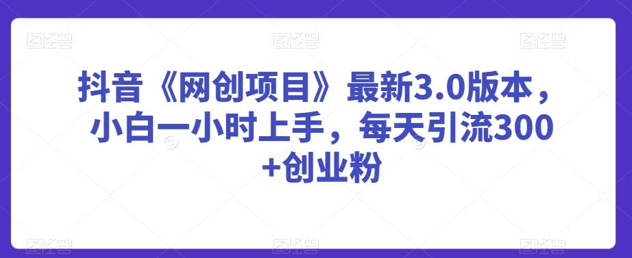 抖音《网创项目》最新3.0版本，小白一小时上手，每天引流300+创业粉【揭秘】-小鹏项目网