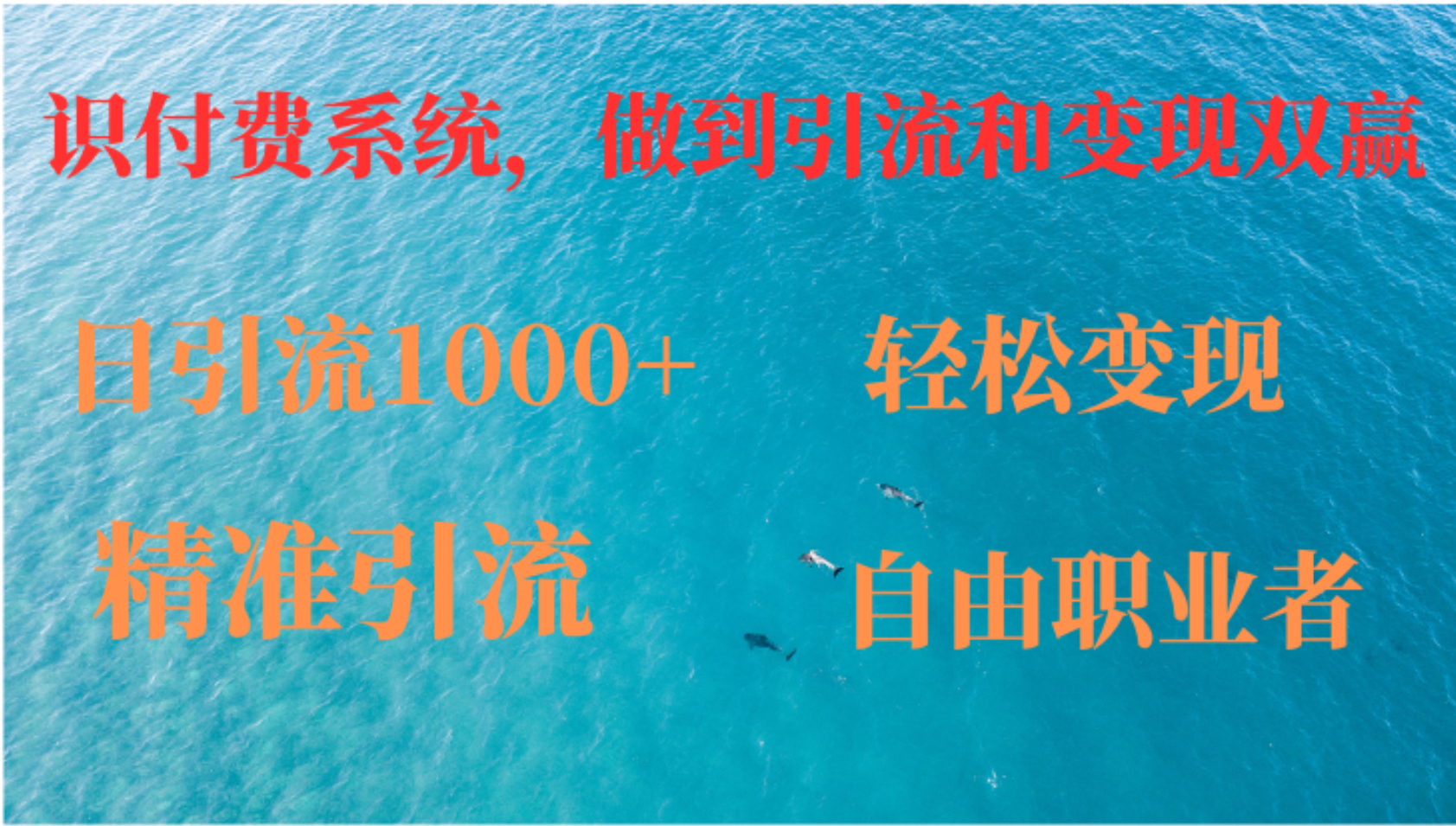 如何搭建自己的知识付费系统，做到引流和变现双赢-小鹏项目网