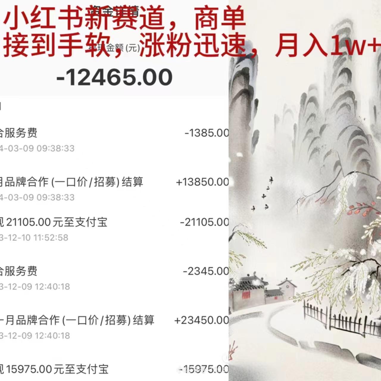 (9476期)小红书新赛道，商单接到手软，涨粉迅速，月入1w+-小鹏项目网