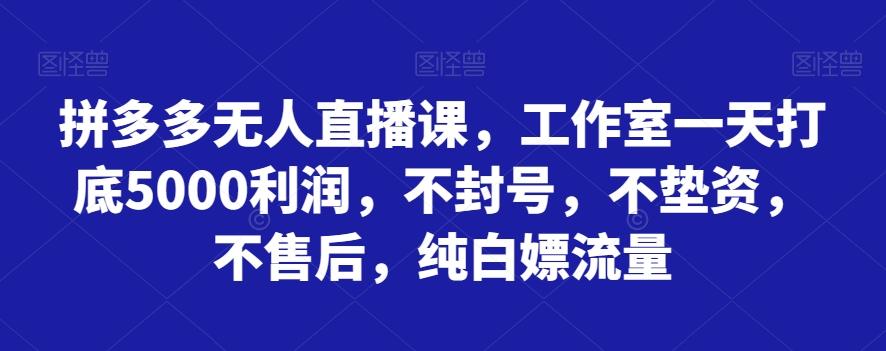 拼多多无人直播课，工作室一天打底5000利润，不封号，不垫资，不售后，纯白嫖流量-小鹏项目网