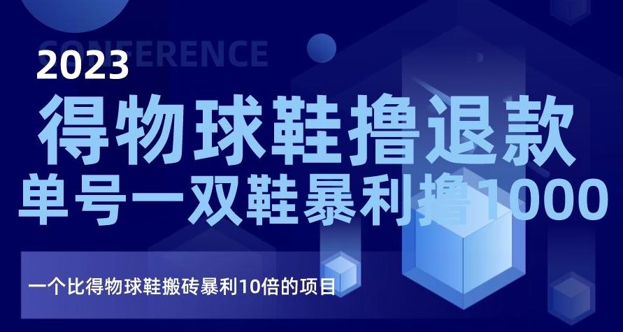2023得物球鞋撸退款，单号一双鞋暴利撸1000，一个比得物球鞋搬砖暴利10倍的项目【揭秘】-小鹏项目网