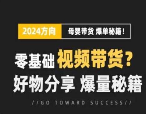 短视频母婴赛道实操流量训练营，零基础视频带货，好物分享，爆量秘籍-小鹏项目网
