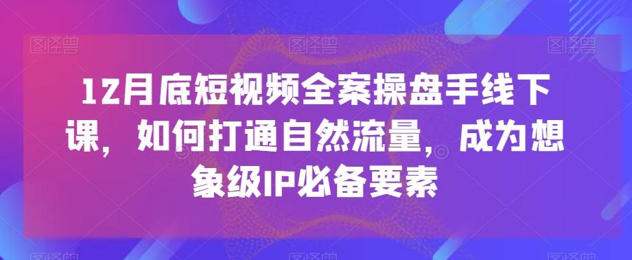 12月底短视频全案操盘手线下课，如何打通自然流量，成为想象级IP必备要素-小鹏项目网