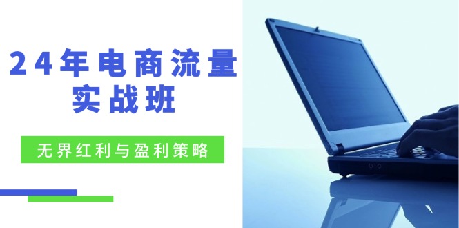 24年电商流量实战班：无界 红利与盈利策略，终极提升/关键词优化/精准…-小鹏项目网