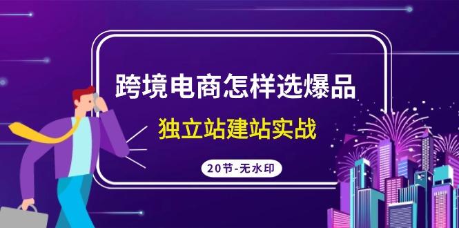 (9369期)跨境电商怎样选爆品，独立站建站实战(20节高清无水印课)-小鹏项目网