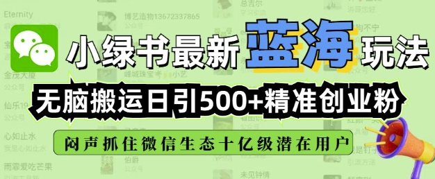 小绿书无脑搬运引流，全自动日引500精准创业粉，微信生态内又一个闷声发财的机会-小鹏项目网