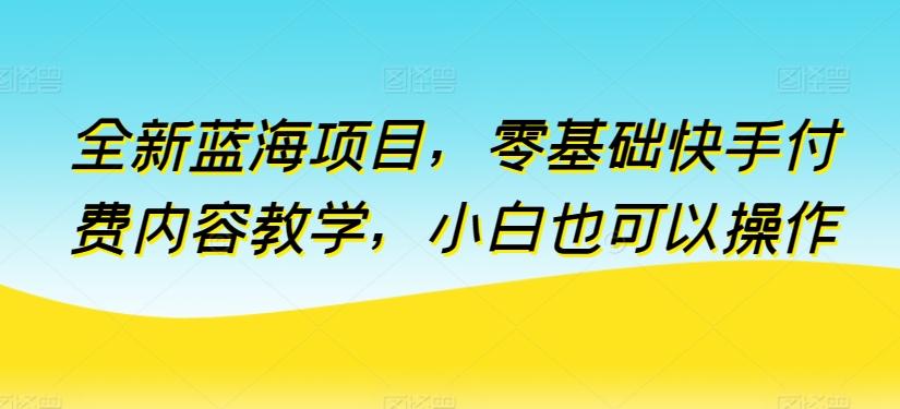 全新蓝海项目，零基础快手付费内容教学，小白也可以操作【揭秘】-小鹏项目网