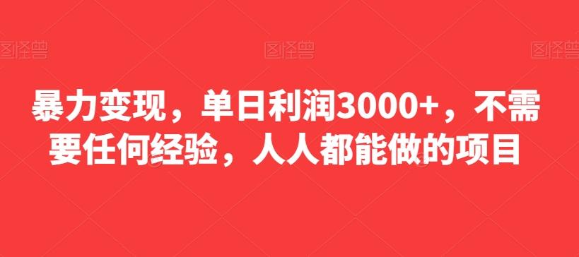 暴力变现，单日利润3000+，不需要任何经验，人人都能做的项目-小鹏项目网