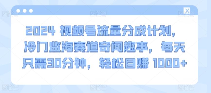 2024视频号流量分成计划，冷门监海赛道奇闻趣事，每天只需30分钟，轻松目赚 1000+【揭秘】-小鹏项目网