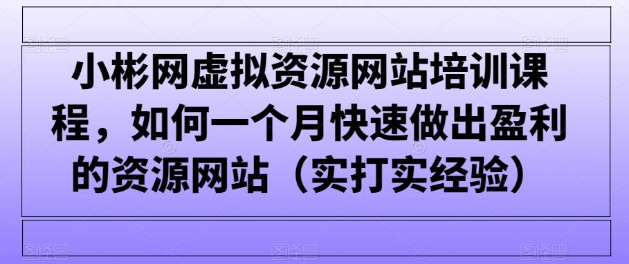 小彬网虚拟资源网站培训课程，如何一个月快速做出盈利的资源网站(实打实经验)-小鹏项目网