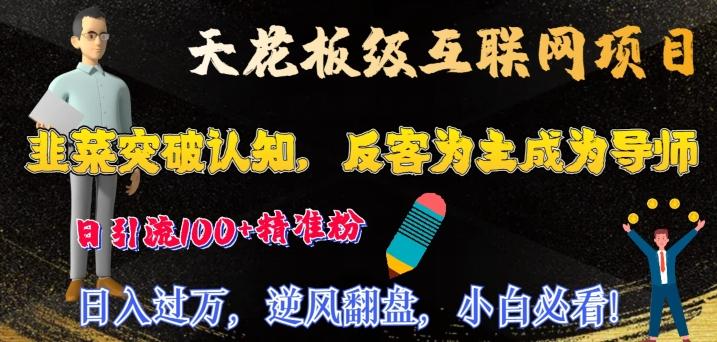 天花板级互联网项目，韭菜突破认知，反客为主成为导师，日引流100+精准粉-小鹏项目网