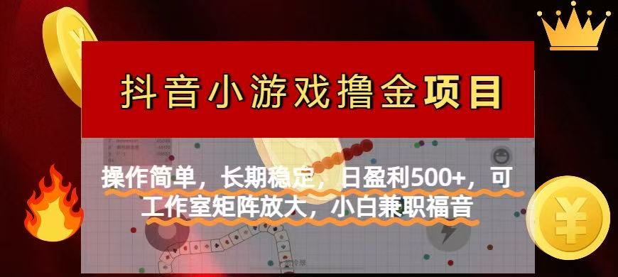 【抖音小游戏发行人计划项目】操作简单，长期稳定，日盈利500+，可工作...-小鹏项目网