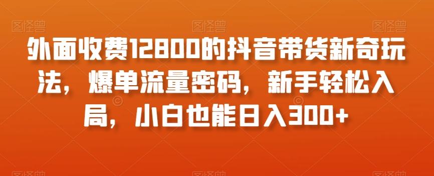 外面收费12800的抖音带货新奇玩法，爆单流量密码，新手轻松入局，小白也能日入300+【揭秘】-小鹏项目网