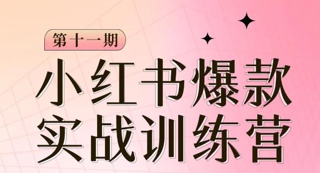 小红书博主爆款训练营第11期，手把手教你从0-1做小红书，从定位到起号到变现-小鹏项目网