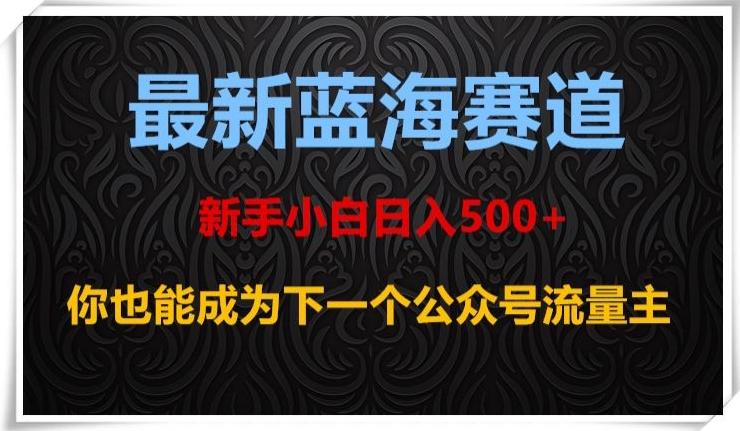 最新蓝海赛道，新手小白日入500+，你也能成为下一个公众号流量主【揭秘】-小鹏项目网