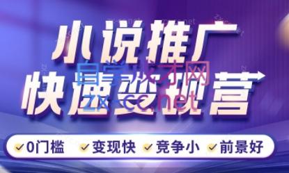 洲洲老师·小说推广快速变现营-小鹏项目网