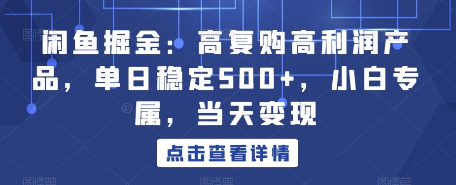 闲鱼掘金：高复购高利润产品，单日稳定500+，小白专属，当天变现-小鹏项目网