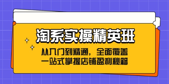 淘系实操精英班：从入门到精通，全面覆盖，一站式掌握店铺盈利秘籍-小鹏项目网